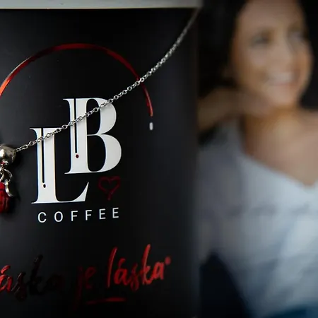 Deloris Gæstehus Trenčín