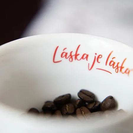 Deloris Gæstehus Trenčín